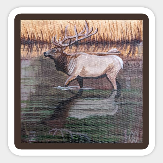 Bull Elk Reflections Sticker by Matt Starr Fine Art